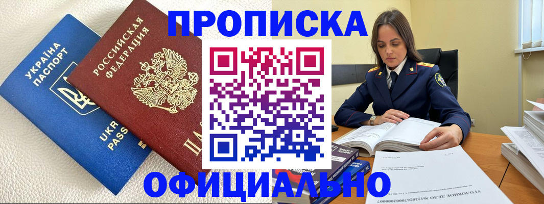 прописка поиск в Заинске